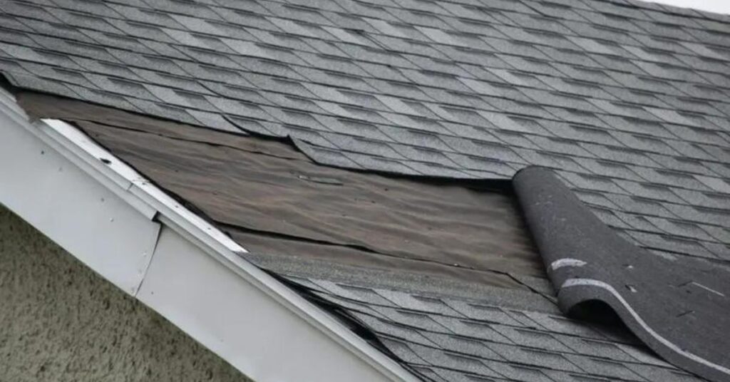 how often you need a new roof