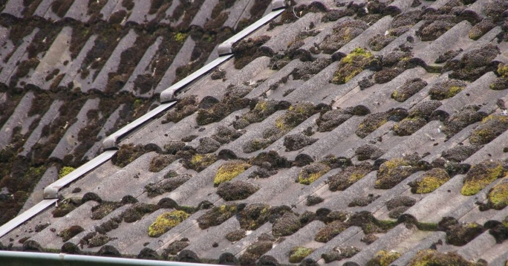 how to get rid of mold on roof shingles